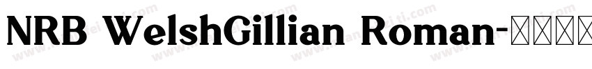 NRB WelshGillian Roman字体转换